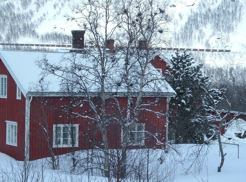 Der Rest des Zuges, auf dieses Foto bekam ich 39 Wagen, auf das andere mit der Lok 30 Wagen. In den 3 1/2 Stunden meines Aufenthaltes auf dem Bahnhof kamen 4 Erzzge, 2 in jeder Richtung, leider kam aber keiner ber den Bahnhof.