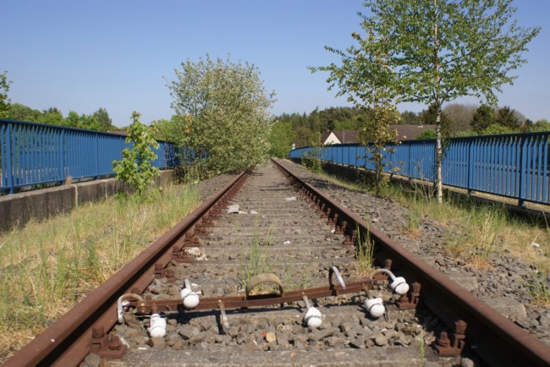 Der Rest der Telegraphenleitung steht sinnbildlich für den Zustand der Strecke Neumünster-Ascheberg ,über die bis 1981 sogar noch Eilzüge fuhren. Vielfach sind Sicherungsanlagen mutwillig beschädigt wurden,während sich Schienen und Schwellen  noch nach über zwanzig Jahren ohne SPNV  und  mehr als zehn Jahren nach der Stillegung sich noch in einem überdurchschnittlich guten Zustand befinden. Ob der letzte Zug für dies Strecke schon abgefahren ist? Bild vom 6.5.2007