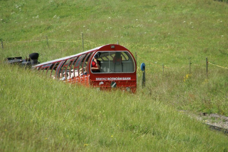 Der rote Zug erscheint aus dem Grnen.