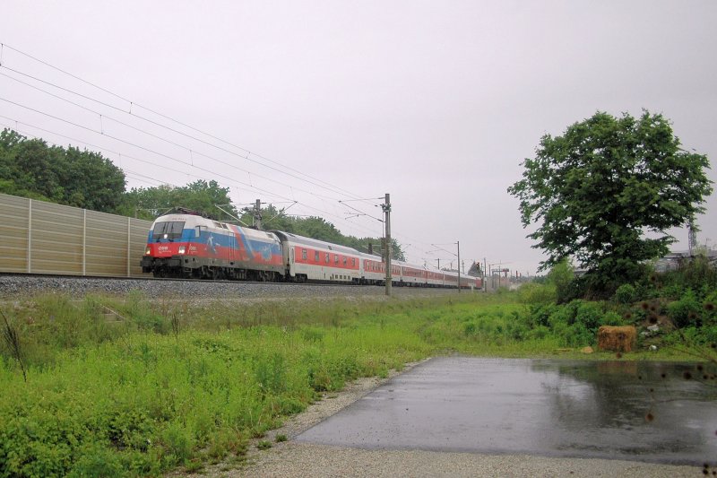 Der Ru�land-Stier (1116 084) am 16.05.09 mit CNL 482 nach M�nchen in Dachau km 16.1