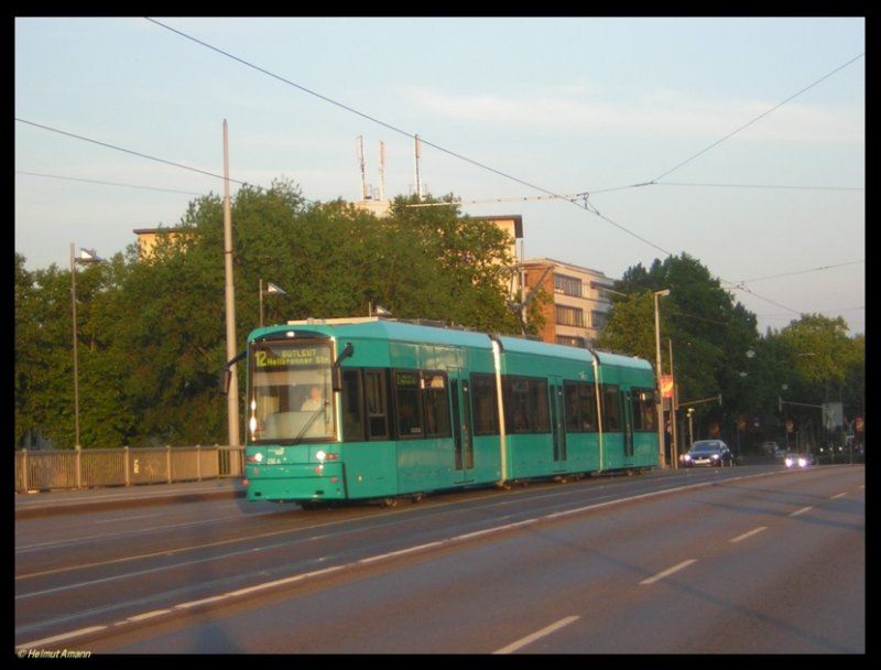 Der S-Triebwagen 250 hatte am 24.06.2006 auf dem 2. Zug der Linie 12 nach Fechenheim die Haltestelle Stresemannallee/Gartenstrae gerade hinter sich gelassen und berquerte auf der Friedensbrcke den Main. 