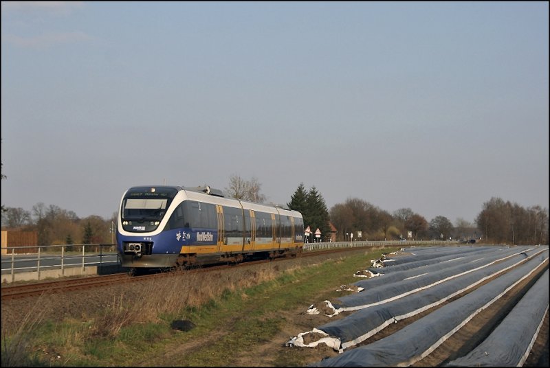 Der Sandboden im M�nsterland ist ideal f�r die Landwirtschaft. Neben Kartoffeln k�nnen in der n�he von Fl�ssen sogar Zuckerr�ben angebaut werden. VT710 f�hrt als RB67 (NWB81557)  DER WARENDORFER , Bielefeld Hbf - M�nster(Westf)Hbf an einem Spargelfeld vorr�ber.
