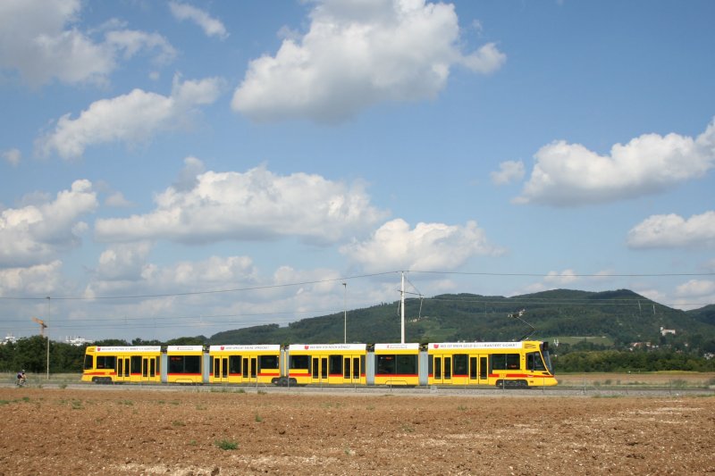 Der Tango / Be 6/10 Nr. 152 der BLT am 22. August 2009 unterwegs zwischen Reinach und Aesch