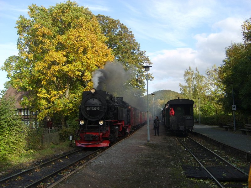Der Traditionszug Kreuzt im Bahnhof Hasserode den letzten Brockenzug des Tages, 4.10.2008