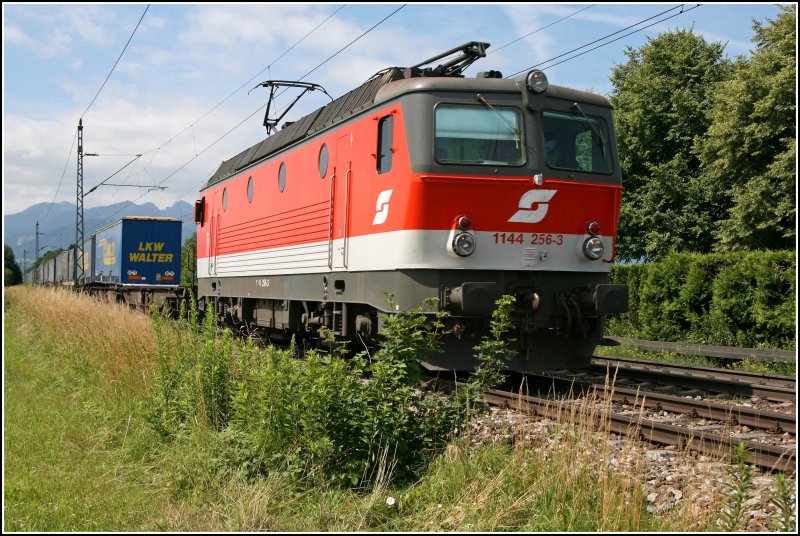 Der Walter kommt: Die mit LZB und einer kompatiblen Fernsteuerung ausgerstete Innsbrucker 1144 256 bringt am 29.06.07 den 42142  WALTER-EXPRESS , (Verona-Rostock Seehafen), vom Brenner nach Mnchen.