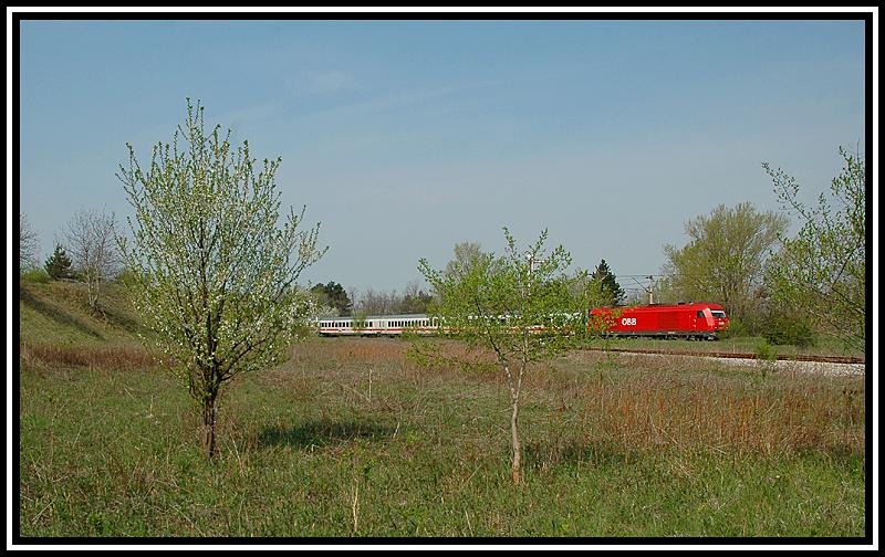 Der wegen den Hochwasserschden umgeleitete EC 172 „Vindobona“ gezogen von 2016.034, am 23.4.2006 kurz nach dem Bahnhof Strasshof.