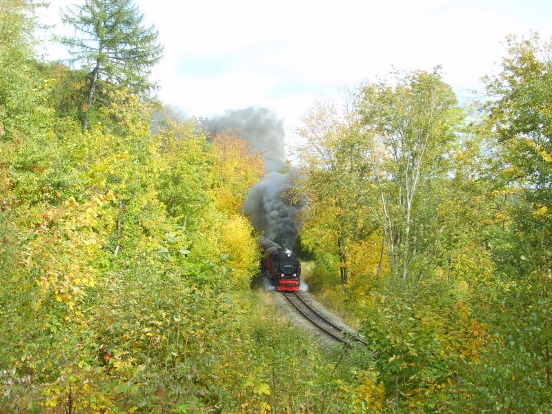 Der Zug von Wernigerode nach Eisfelder talm�hle begegnete uns etwas hinter dem Bahnhof Steinerne Renne, 4.10.2008, 12:04