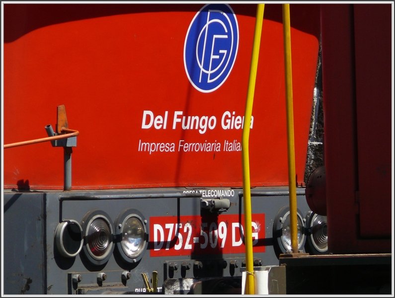 Detailansicht der Taucherbrillen D752-509DG Del Fungo Giera in Chiasso (22.07.2008)
