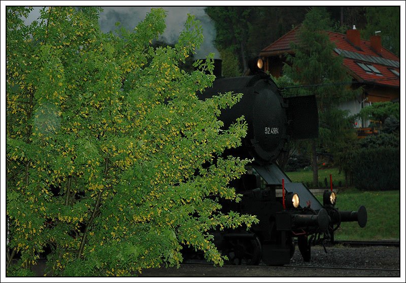 Detailaufnahme 52.4984, aufgenommen am Bahnhof in Obdach am 4.5.2007.