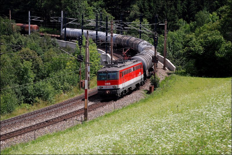Die 1142 619-4 bracht am 21. Juli 2009 ein Gterzug ber den Semmering Richtung Gloggnitz. Diese Aufnahme entstand bei Eichberg am Semmering.