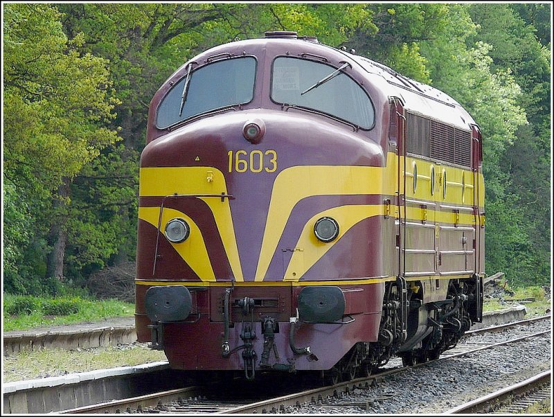 Die 1603 von ihrer  Schokoladenseite  aufgenommen in Spontin am 30.05.09.
(Jeanny)