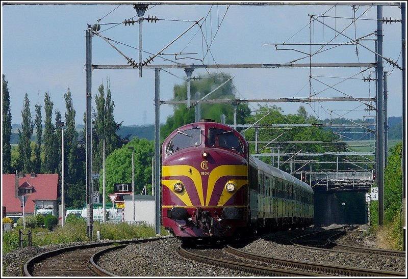 Die 1604 mit ihrem Sonderzug am Haken  dieselt  am 23.06.09 ber den dreigleisigen Streckenabschnitt kurz vor Schieren in Richtung Luxemburg. (Jeanny)