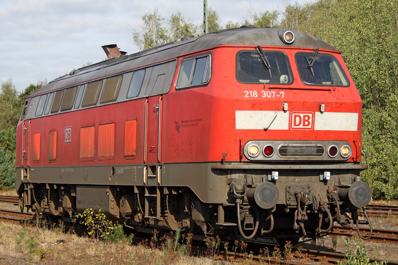 Die 218 307-7 in Munster beim umsetzen , am 11,09,09