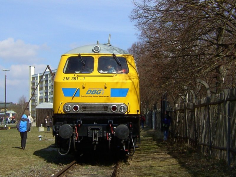 Die 218 391 am 24.03.2008 beim Diesellok Fest im Bahnpark Augsburg.