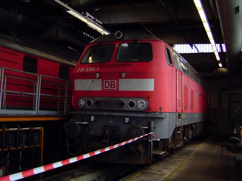 Die 218 466 am 21.06.2008 im BW Mhldorf. (Tag der Offenen Tr)
