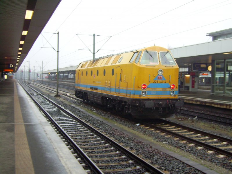 Die 229 147-4 legte am 14.01.2009 nur ein kurzen Stop in Hannover Hauptbahnhof ein,aber es reichte fr ein Foto.