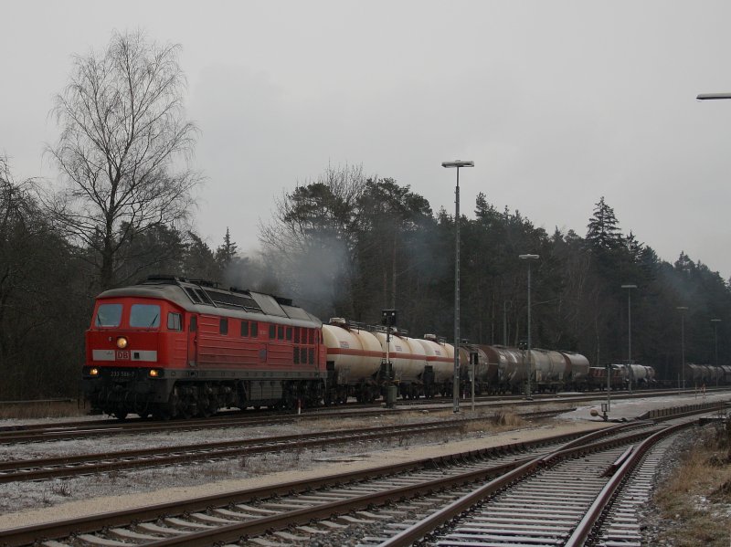 Die 233 586 am 02.01.2009 mit einem G�terzug bei der Ausfahrt aus Kastl.