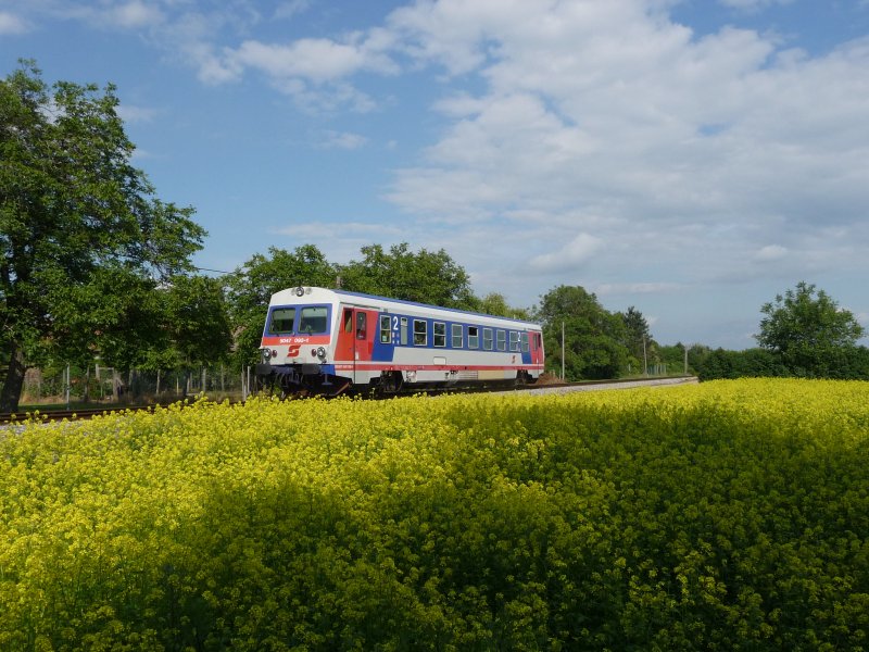 Die 5047 092-1 verlsst die Bahnhaltestelle Pillichsdorf in Richtung Gro Schweinbarth und fhrt dabei an einem Feld mit Pflanzen der Baureihe Raabs vorbei. (02.06.09)