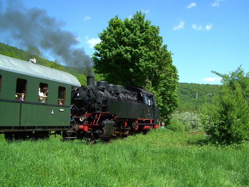 Die 64 491 am 11.05.2008 unterwegs bei Neideck auf der Strecke Ebermannstadt-Beringensmhle.