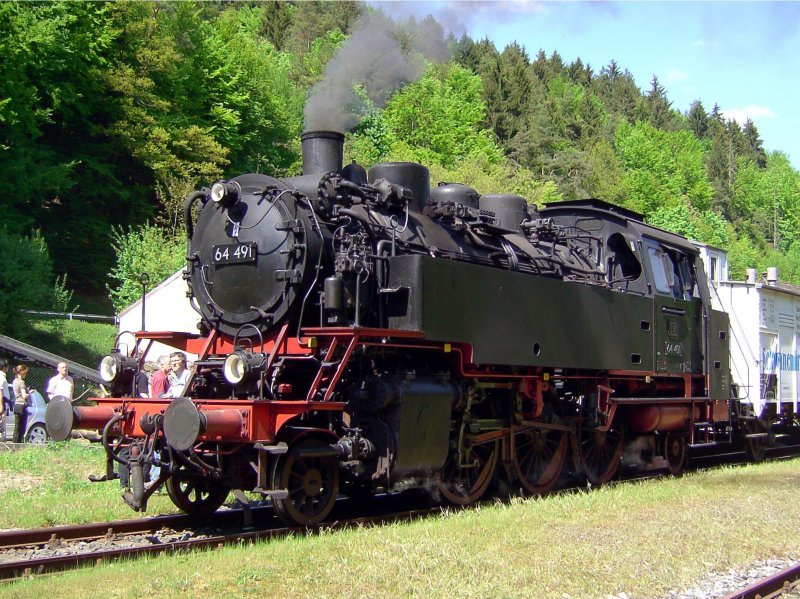 Die 64 491 der DFS am 11.05.2008 mit dem Sonderzug der DFS in Behringersmhle. 