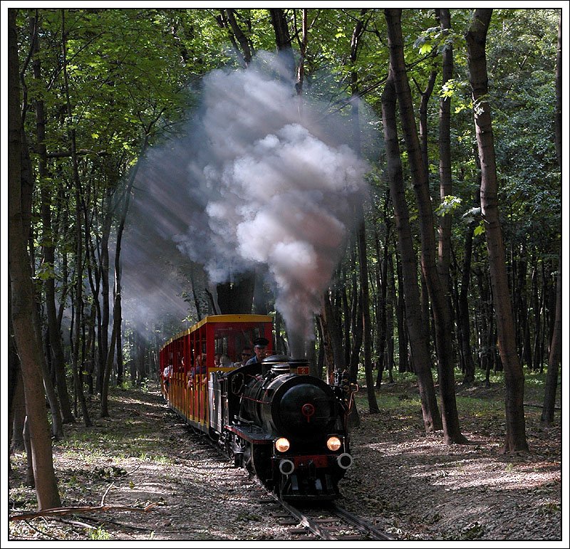 Die 7,2 Tonnen schwere Damplok Da2  Brigitte der Wiener Liliputbahn kurz vor Erreichen der Station Ernst-Happel Station. Ab dieser Station geht es dann wieder retour zum Ausgangspunkt Prater-Hauptbahnhof. Aufnahme vom 30.6.2007