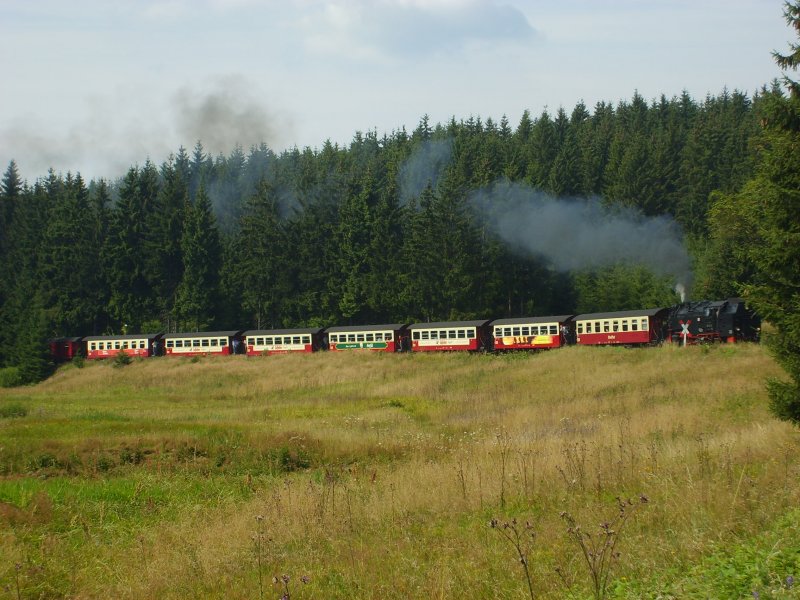 Die 99 7242-3 zeiht hier ihren Zug den ersten Anstieg der Strecke nach Elend hinauf. In Drei Annen Hohne wird dann Kopf gemacht und dann geht es weiter zum Brocken, wo der Zug aus Nordhausen kommend nach seiner mehr als 3 stndigen Fahrt ankommen wird. 7.8.2007 11:40