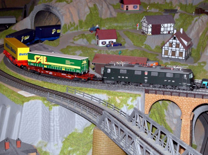 Die Ae 6/6 mit einem KLV Zug unterwegs auf der Gebirgsbahn. 