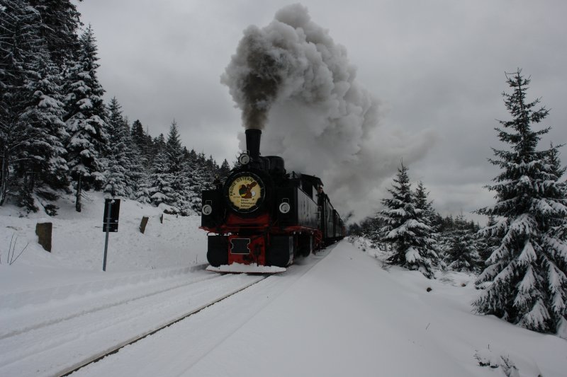 Die alte Mallet-Dampflokomotive Bj. 1897! hatte mchte zutun, die Steigung (immerhin 3,3%) zum Brocken zu erklimmen. Zu Ostern hatte der Harz das erste Mal in diesem Winter eine richtig schn verschneite Landschaft geboten. Der Anblick der 99 5901 war ein optisches Erlebnis. (23.03.08) 