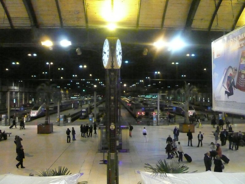 Die Bahnsteighalle des Gare de Lyon bei Nacht. Aufgenommen am 22.2.2008.