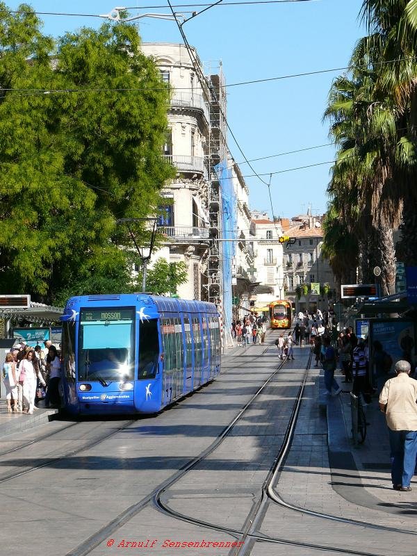 Die blaue Tram 2014 von Typ Alstom Citadis401 ist auf der Linie 1 unterwegs nach Mosson. Gut zu sehen ist, da in Montpellier stets auch die Fahrzeugnummer im Zielanzeiger angezeigt wird. Rechts im Bild ist noch die bunte Citadis302 Tram 2041 der Linie 2 zu sehen.
07.09.2007 Montpellier Gare St-Roch