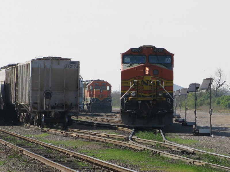 Die BNSF Lok 4362 ist am 26.1.2008 in Galveston (Texas) neben einigen Gterwagen abgestellt. Im Hintergrund ist die BNSF Lok 4308 zu sehen.