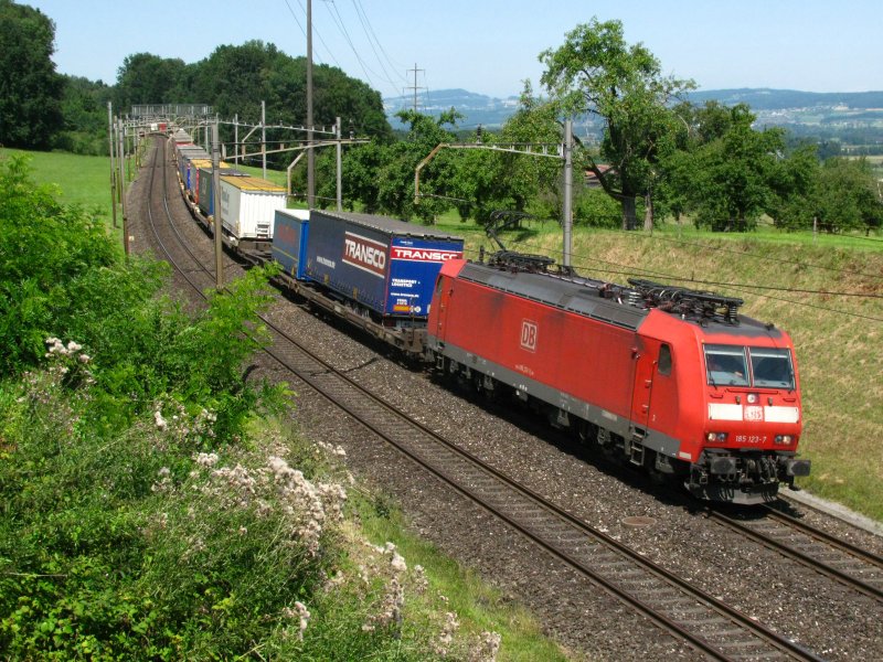 Die BR 185 123 war am 01.08.2009 mit einem GZ bei Mhlau unterwegs.