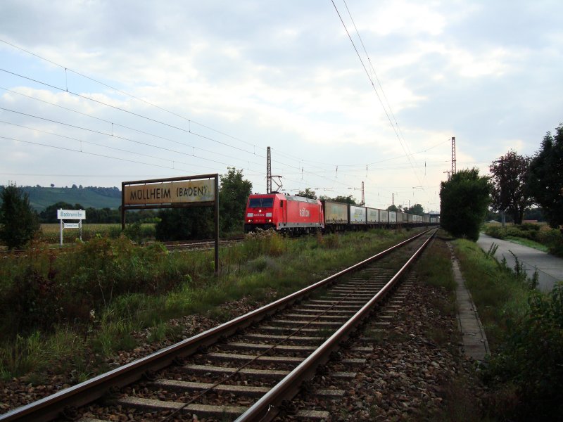 Die BR 185 211 hatte am 27.09.2008 bei Mllheim (Baden) einen Ambrogio-Zug am Haken.