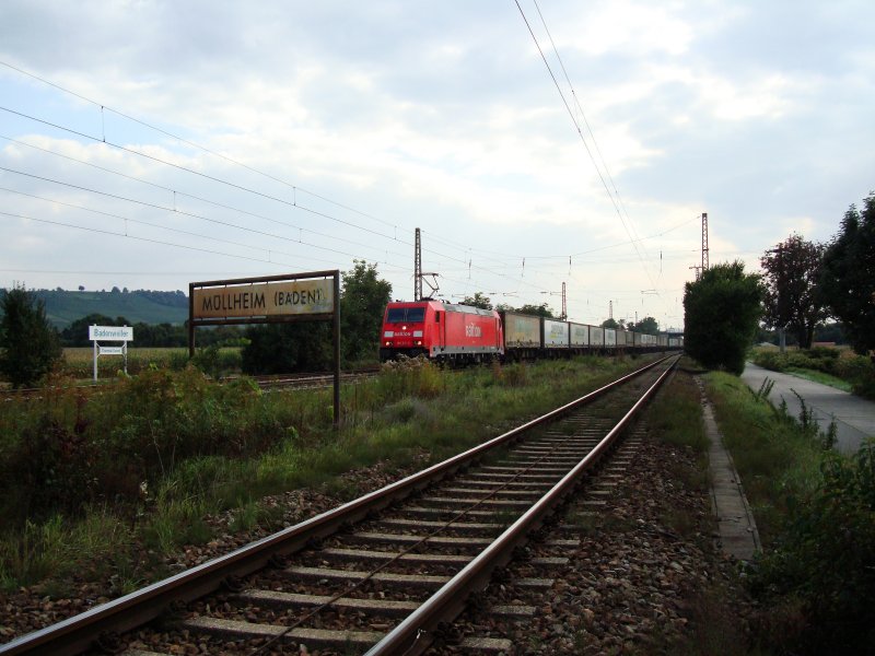 Die BR 185 211 hatte am 27.09.2008 bei Mllheim (Baden) einen Ambrogio-Zug am Haken.