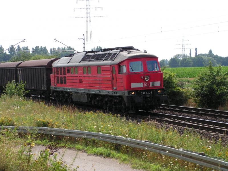 Die BR 232 614-8 mit einem Gterzug zwischen Nienburg (Weser) und Verden (Aller).
Loks dieser Baureihe trifft man auf der Strecke eher selten!