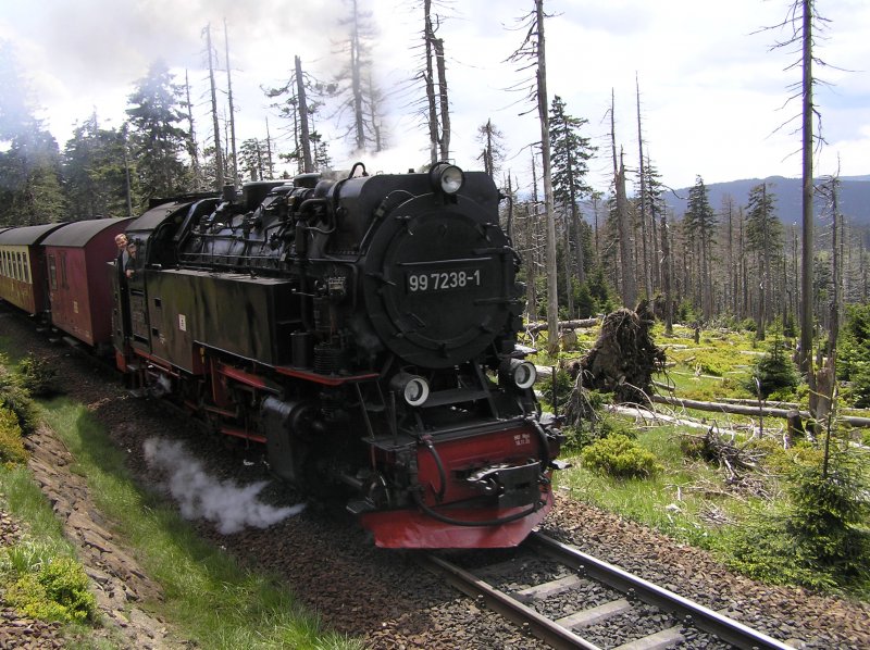 Die BR 99 7238-1 der Harzer Schmalspurbahnen (HSB) am 06.06.2006 um 14:01 Uhr zwischen Schirke und Brocken. (Zug fhrt Richtung Brocken)