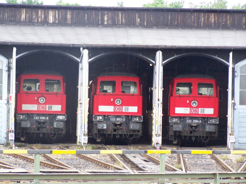 Die Br.232 096-8, Br.232 663-5 und Br.232 258-4 trafen sich gemeinsam im Diesellok-schuppen des BW Nrnberg RBF. Aufgenommen am 2.juni 07.