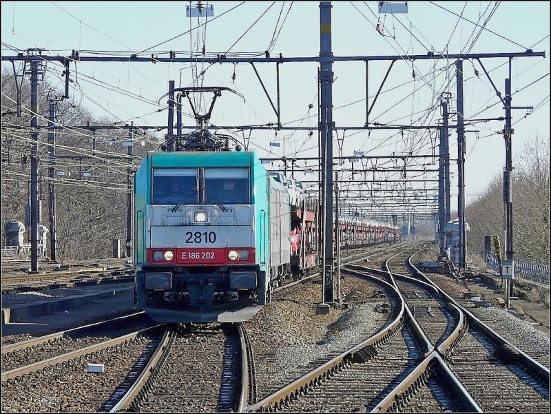 Die COBRA Lok 2810 (E 186 202) in Zusammerarbeit mit einer Schwesterlok nhert sich am 14.02.09 mit einem langen Autozug dem Bahnhof Gent Sint Pieters. (Jeanny)
