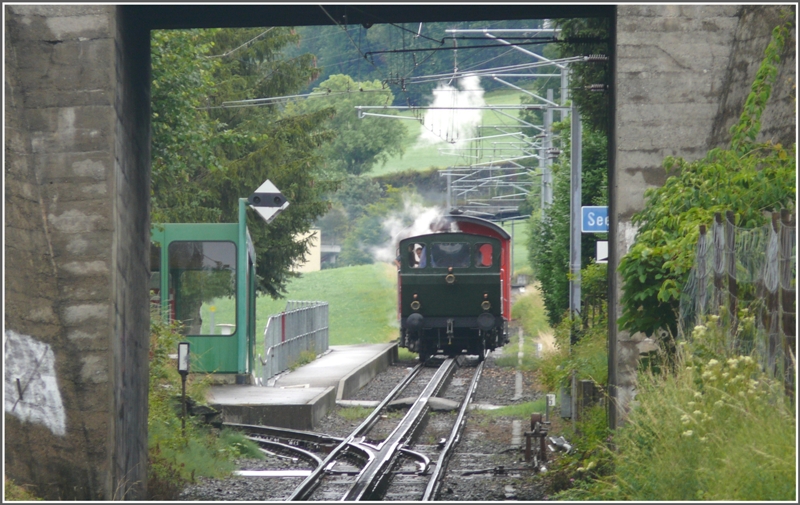 Die Dampflok Rosa ex Maschinenfabrik Rti auf der Talfahrt bei der Seebleiche in Rorschach. (18.07.2009)