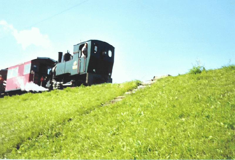 Die Dampflok St. Gallen fhrt am 8.9.02 schnaufend in Richtung Zielbahnhof