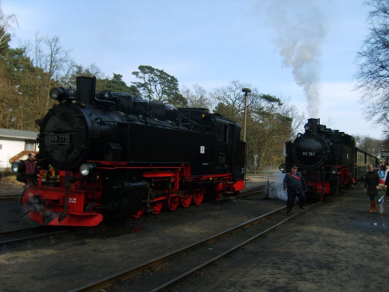 Die Dampflokomotiven 99 773 der Fichtelbergbahn und 99 787 der Schsisch-Oberlausitzer Eisenbahn sichern nach einem bergangsfahrplan den Betrieb des  Rasenden Roland  an den Osterfeiertagen 2008 ab.