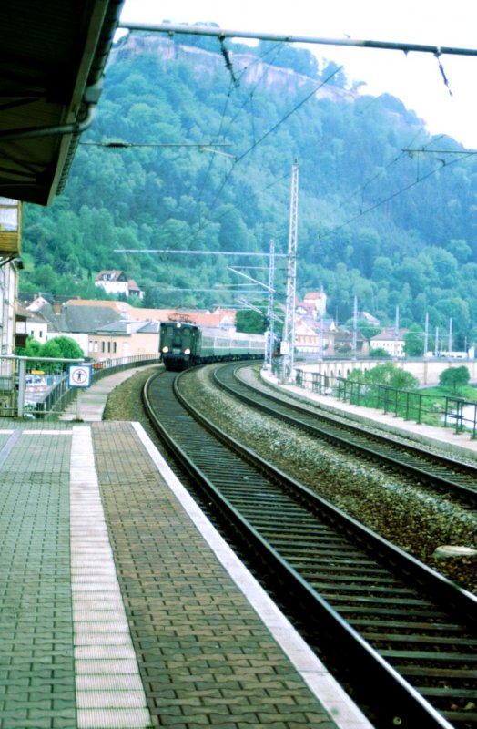 Die E77 10 kommt mit heftig wirbeldenden Stangen und ihrem Sonderzug von Dresden nach Knigstein/Elbe angerauscht. Am Zugende rckwrts gekuppelt, dampft 01 137, die auf der Rckfahrt ab Bad Schandau eine reife Leistung vor einem Sonderzug zeigte.