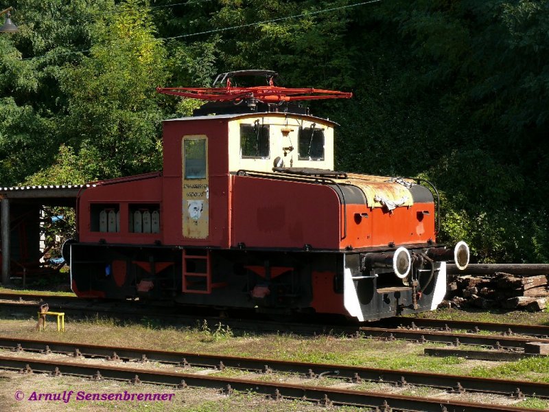 Die ehemalige Lok-15 der Strausberger-Eisenbahn (Typ-EL4, 1963 gebaut bei LEW) ist heute bei der benachbarten Buckower Kleinbahn zu finden. 
27.09.2008 Buckow