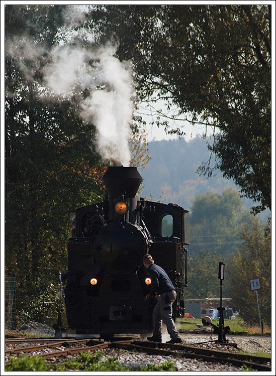 Die ehemalige rumnische Waldbahnlokomotive 764.411 Model Resita Nr. 619 am 11.10.2008 auf dem Weg zu ihrer Garnitur.