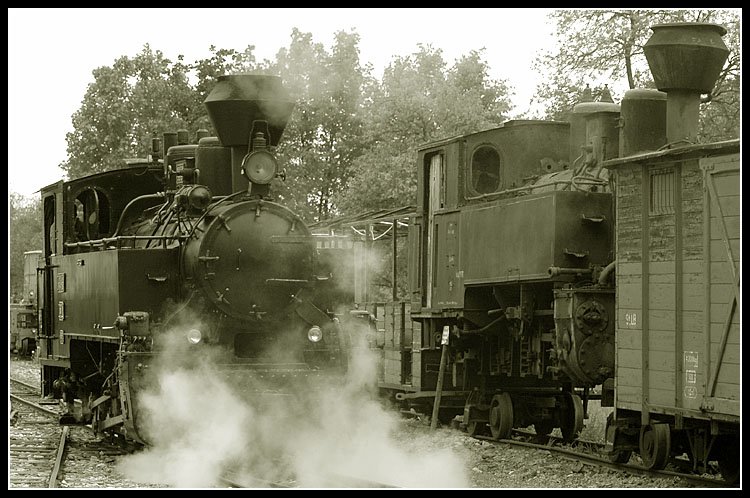 Die ehemalige rumnische Waldbahnlokomotive 764.411 Model Resita Nr. 619, BJ 1986, die zur Zeit bei Dampfahrten beim  Stainzer Flascherlzug  zum Einsatz kommt bereitet sich am 13.2.2006 auf den bevorstehenden Einsatz vor.