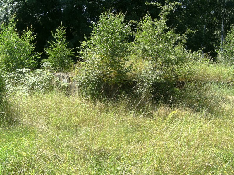 Die ehemalige Verladerampe f�r Loks der Schmalspurbahn Freital Potschappel - Nossen in Nossen am 7.August 2009