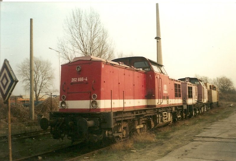 Die ehmalige Neustrelitzer 202 666 und eine weitere 202 im Februar 1998 im Bh Rostock.