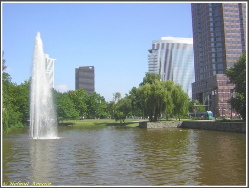 Die Friedrich-Ebert-Anlage, 1903-1905 von Karl Heicke mit Weiher, Bachlauf und Springbrunnen geschaffen, gibt dieses Motiv der Stra�enbahn am See mitten in der Stadt her, eine gr�ne Idylle inmitten von Hochh�usern und tosendem Stra�enverkehr. Ein R-Triebwagen fuhr am 11.06.2007 in Richtung Messe, leider war nur die Front des Wagens von der Sonne beleuchtet.