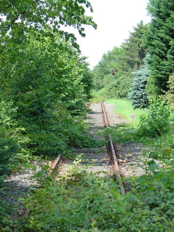 Die Gleise der alten Kursbuchstrecke 222c / 207 Rheda-Wiedenbck-Lippstadt kurz vor der Einmndung in den Bahnhof Rheda-Wiedenbrck, wo die Anbindung an die Kln-Mindener-Eisenbahn erfolgte. Alle Versuche die Gleisanlagen fr den Gterverkehr zu erhalten schlugen fehl. Die Bahnanlage eines der umsatzstrksten Bahnhfe der ehemaligen Bundesbahndirektion Mnster, dem Bahnhof Wiedenbrck, sind nicht mehr nutzbar. Der Bahnhof ist privatisiert worden und fast alle Gleise sowie smtliche Signalanlagen demontiert worden.     