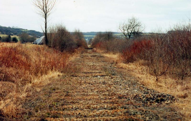 Die Grenze bei Reinheim. Auf dem Franz�sischen Teilst�ck liegen die Gleise noch. 1997